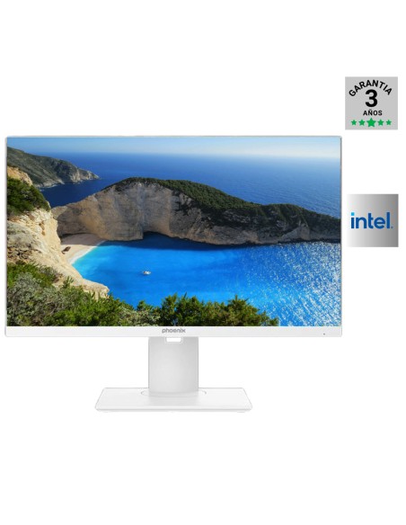 239523 AIOMF 23.8" PHOENIX     I5-14400 32GB   1TB NVME FREE PN: GDX3485 EAN: 1000000003485   